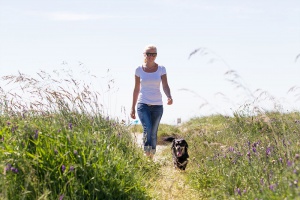 Spaziergang mit Hund Tourismus Service Norddeich